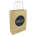 Kraft Paper Bag with Twisted Paper Handles -Medium