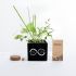 6cm Promotional Desktop Garden