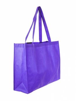 Promotional Jumbo Non Woven Exhibition Bag