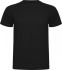 Promotional Roly Montecarlo Short Sleeve Men's Sports T Shir