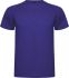 Promotional Roly Montecarlo Short Sleeve Men's Sports T Shir