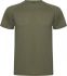 Promotional Roly Montecarlo Short Sleeve Men's Sports T Shir