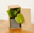 Promotional Small Concrete Potted Plant 