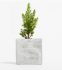 Promotional Small Concrete Potted Plant