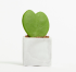 Promotional Small Concrete Potted Plant