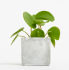 Promotional Small Concrete Potted Plant