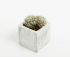 Promotional Small Concrete Potted Plant