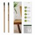 Promotional Sprout Seed Pencil 