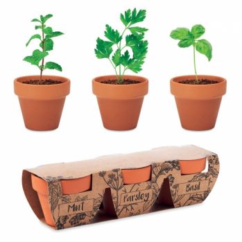 Promotional Terracotta 3 Herb Pot